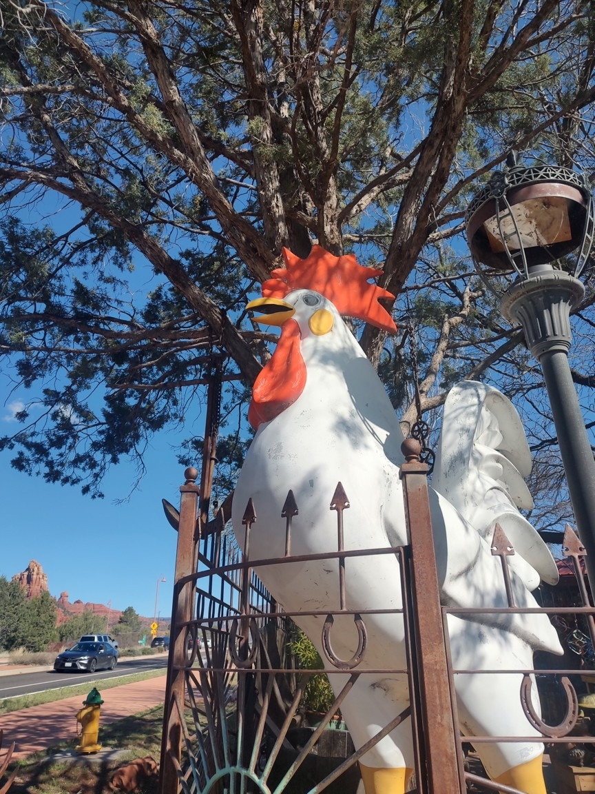 Art Gallery | Sedona, AZ - Son Silver West Gallery Inc.